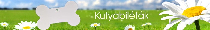 Kutyabiléta