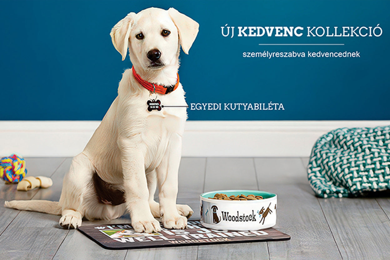 Egyedi fényképes kutyabiléták