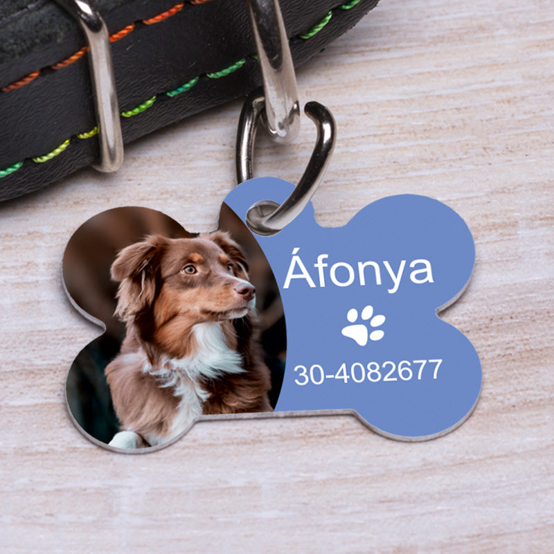 Kék, csont alakú fényképes kutyabiléta barna-fehér kutya fotójával, „Áfonya” névvel és telefonszámmal