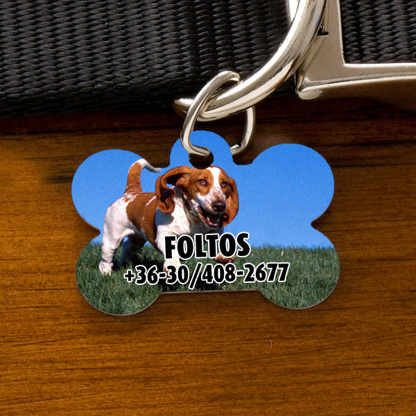 Csont alakú fényképes kutyabiléta beagle fotójával a teljes felületen, „FOLTOS” névvel és telefonszámmal