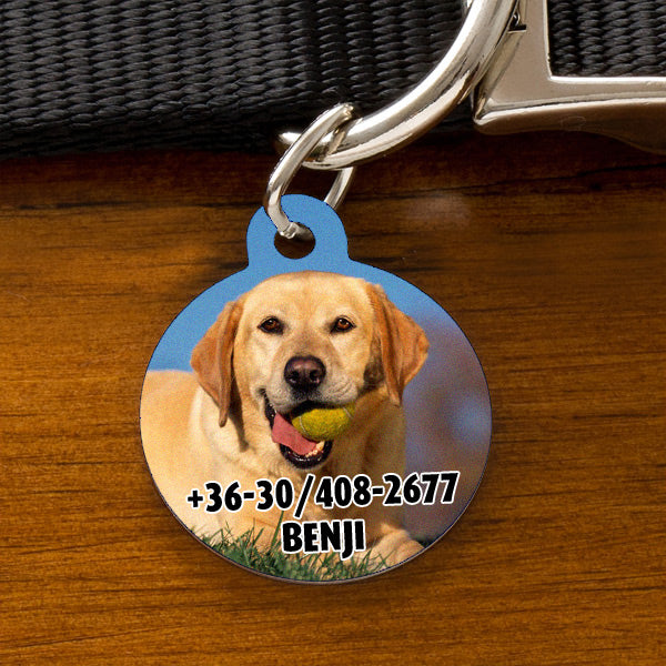 Kör alakú fényképes kutyabiléta labrador fotójával, „Benji” névvel és telefonszámmal, nyakörvre akasztva