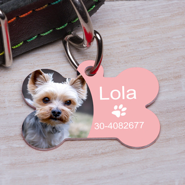 Rózsaszín, csont alakú fényképes kutyabiléta yorkshire terrier fotójával, „Lola” névvel és telefonszámmal