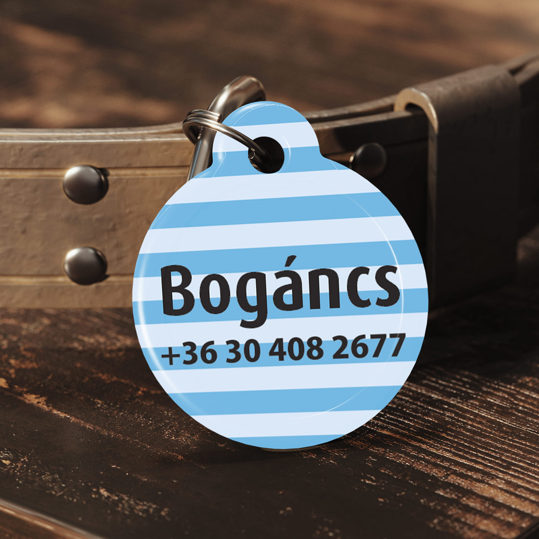 Világoskék csíkos, kör alakú kutyabiléta „Bogáncs” névvel és telefonszámmal, bőr nyakörvre akasztva