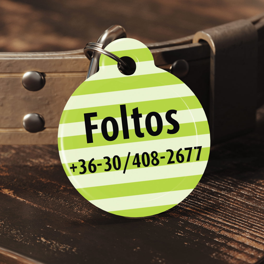 Zöld csíkos, kör alakú kutyabiléta névvel és telefonszámmal, nyakörvre akasztva